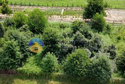 Teren intravilan com. Alexandru cel Bun- Viisoara - 6