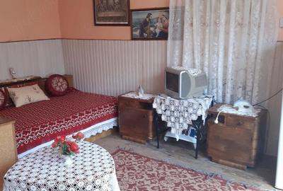 Casă cu 9 camere în Comorâște - 4