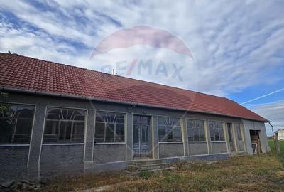 Casă individuală cu 3 camere cu Teren 7290 Mp în Socodor - 2