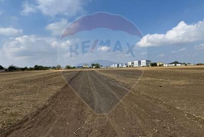 Teren Construcții intravilan de 400 mp, în Ișalnița - 2