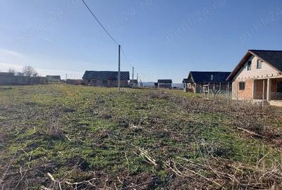 Teren de 505 mp, în Roșia - 3