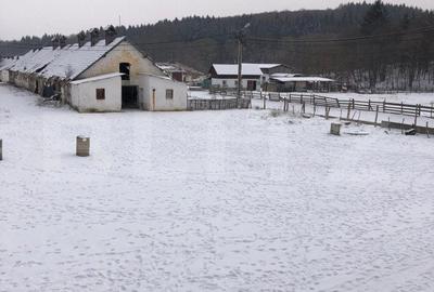 Spațiu comercial, în Vlădeni - 6