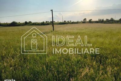 Spațiu comercial, în Cârțișoara - 3