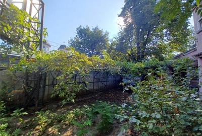 Teren Rahova- Muntii Carpati Teren Rahova- Muntii Carpati - 4