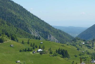 Ocazie! Vand cabana de bustean masiv in sat Pestera, com Moieciu, Brasov - 10