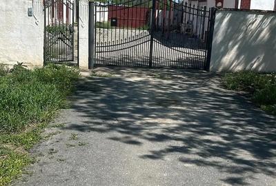Casă cu Teren 6000 Mp în Șandra - 1