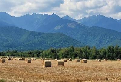 FILM! Resedinte montane,mobilate,echipate, jacuzzi,piscina,pretios areal,Sambata - 25