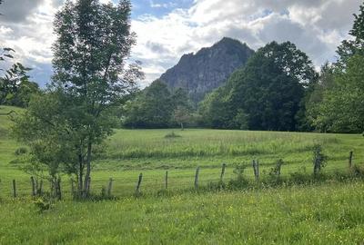 Teren de 5724 mp, în Hărțăgani - 2