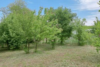 Casă cu 4 camere cu Teren 2038 Mp în Cujmir - 6