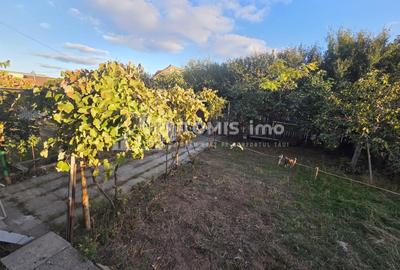 Casa cu mansarda, la rosu, in Lazu - 17