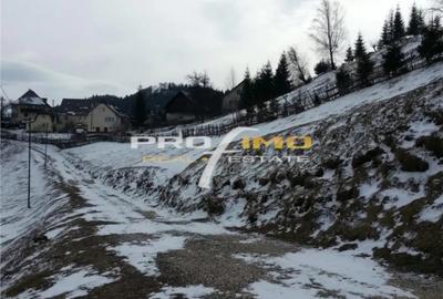 Teren în Moieciu - 4