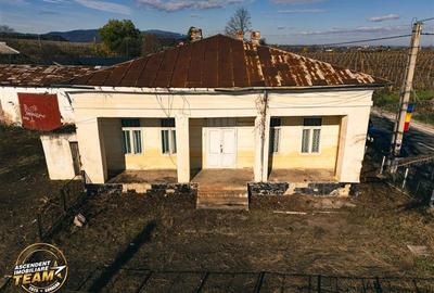 Teren Construcții intravilan de 4000 mp, în Vârteșcoiu - 10