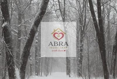 Teren intravilan Baneasa - 3