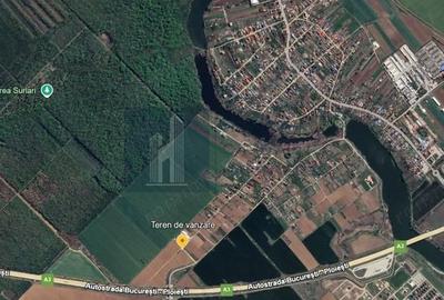 Teren de 2095 mp, în Moara Vlăsiei - 4
