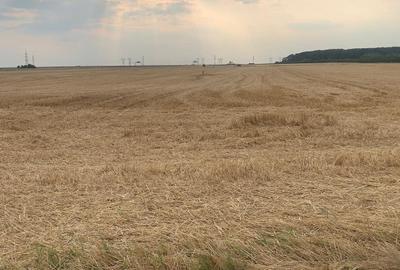 Stefanesti DJ200  Vanzare  Teren  Intravilan Suprafata Compacta 3 HA - 5