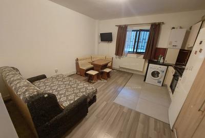 Apartament cu 1 camera in Tatarasi-Doi Baieti,bloc nou - 4