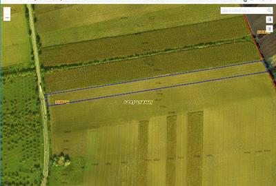 Teren de 15000 mp, în Dobreni - 1