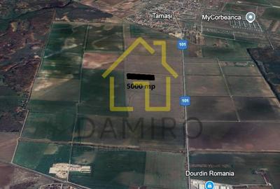 Teren Intravilan 5000 mp Buftea Tamasi - 4