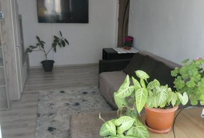 Apartament cu 2 camere semidecomandat în Craiovița Nouă - 4