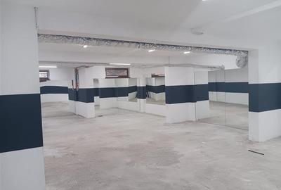 Spațiu comercial, de 403 mp, în Serele Vișoianu - 4
