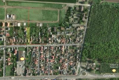 Casă cu Teren 1270 Mp în Valu lui Traian - 4