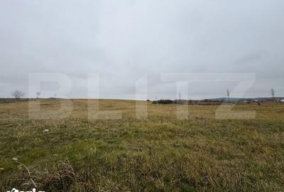 Teren de 4416 mp, în Turdaș - 2