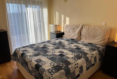 Apartament cu 3 camere, mobilat în Iancu Nicolae - 17