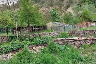 Casă cu 5 camere cu Teren 500 Mp în Petnic