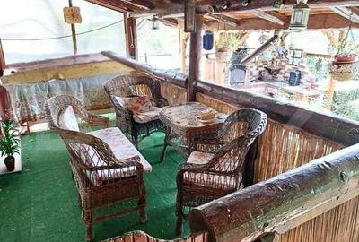 Casă cu Teren 3000 Mp în Central - 13