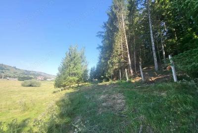 Teren de 5000 mp, în Gura Humorului - 1