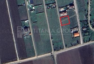 Teren intravilan, PUZ aprobat, 800 mp, Fish4Life - Harman, Brasov Teren intravilan, PUZ aprobat, 800 mp, Fish4Life - Harman, Brasov - 3