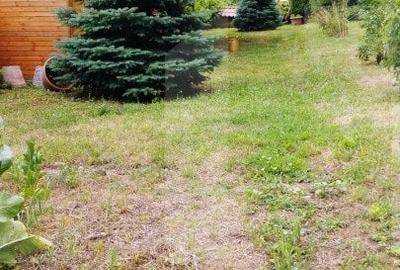 Oportunitate! Casa 300 mp utili, 1000 mp teren, zona Gruia - 10