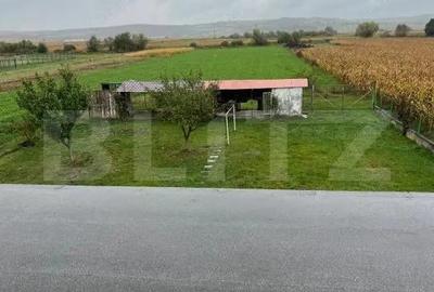 Casa cu teren 5.900 mp comuna Gheorghe Doja - 2