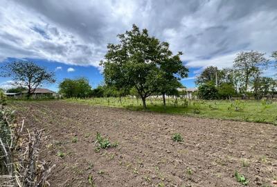 Casa + teren 4430 mp, vie si pomi fructiferi, 22 km de Tecuci - 1