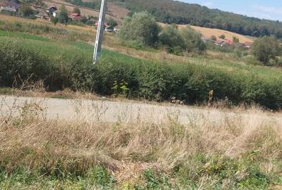 Vand teren intravilan in Panic - 4