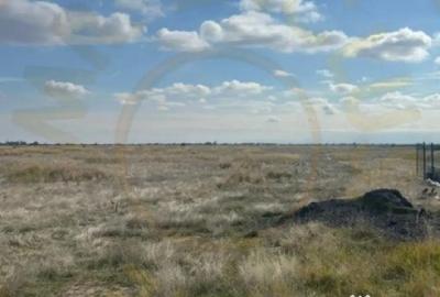 Teren de 10000 mp, în Albota - 2