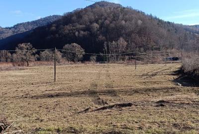 Spațiu comercial, în Pintic - 7