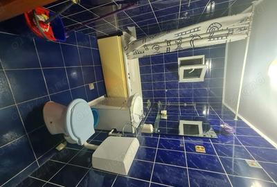 Apartament cu 3 camere decomandat în Buzaului - 3