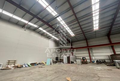 Spațiu industrial, de 600 mp, în Săcălaz - 3