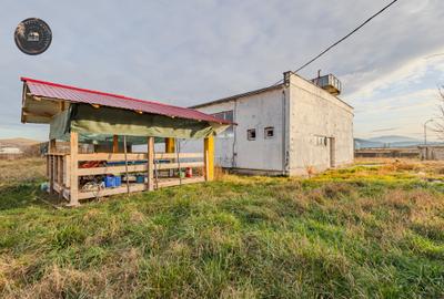 Hala industriala de vânzare – Bod, Brasov - 7