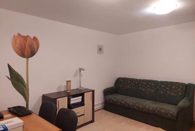 Apartament o camera ,parter ,Take Ionescu Apartament o camera ,parter ,Take Ionescu - 3