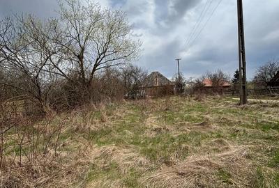 Teren de 850 mp, în Râșca - 7