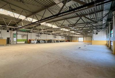 Spațiu industrial, de 35,092 mp, în Valu lui Traian - 3