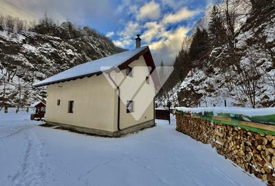 Cabana pe Raul Sadului 120 mp utili Teren 685 mp Zona montana - 2