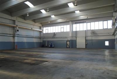 Hala de inchiriat in Zona Industriala de vest! - 13