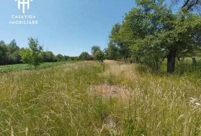 Casă cu 3 camere cu Teren 1239 Mp în Temerești - 9