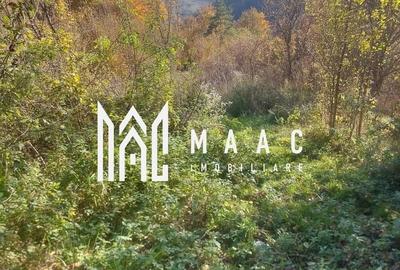 Teren agricol extravilan de 35000 mp, în Bistra - 3