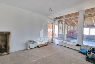 Casa individuala situata in zona Mehala - 21