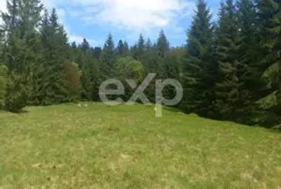 Teren de 4000 mp, în Cornu Luncii - 1