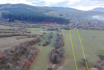 Teren 5.800 mp Purcareni curent, gaz, apa / Strada 30 decembrie - 7